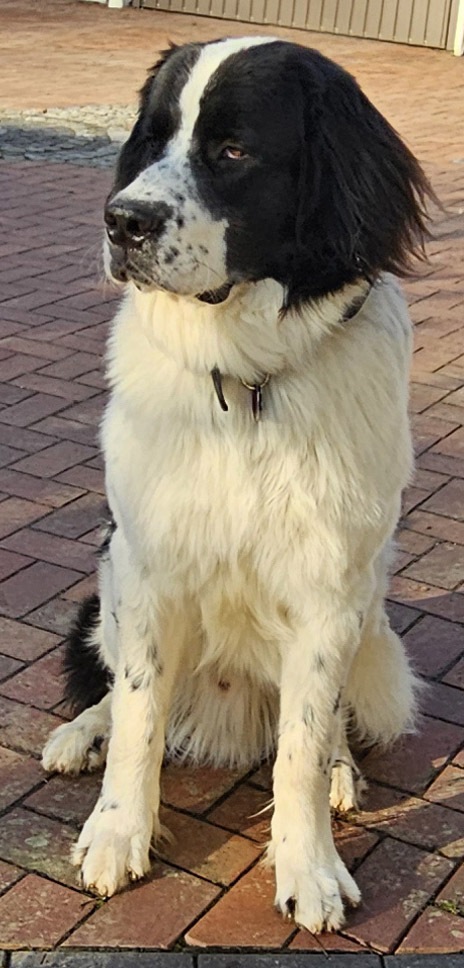 gallery/images-12.10.2014--15-