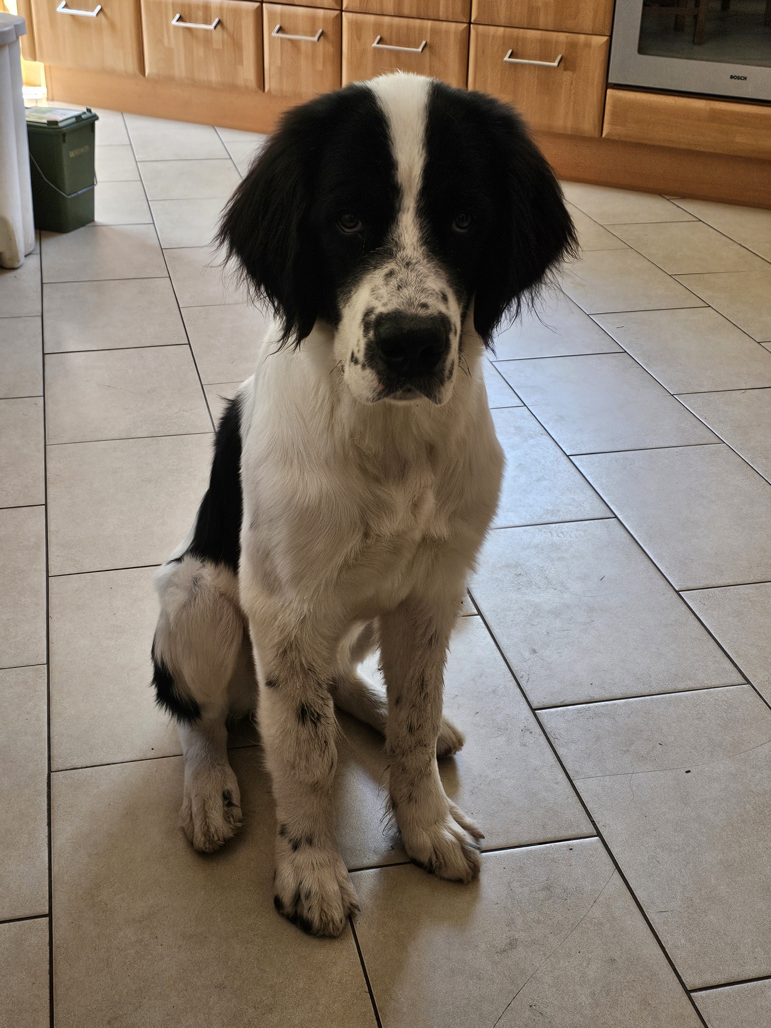 gallery/images-Pause_drhd9719