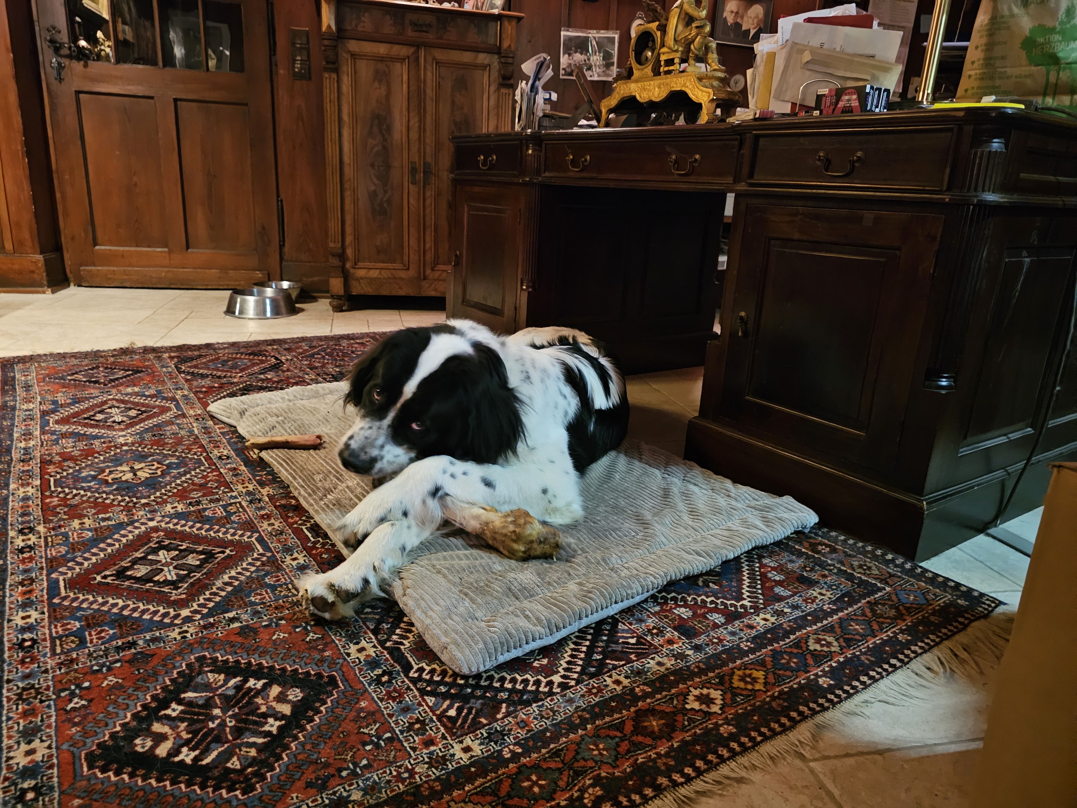 gallery/images-DSCN1910