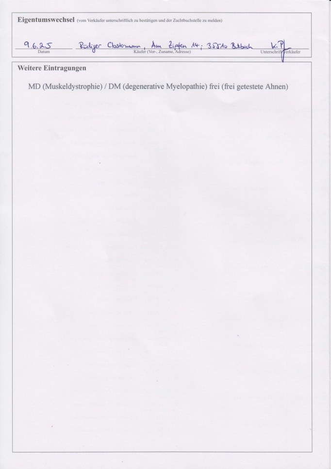 gallery/images-Deutscher-Champion-VDH