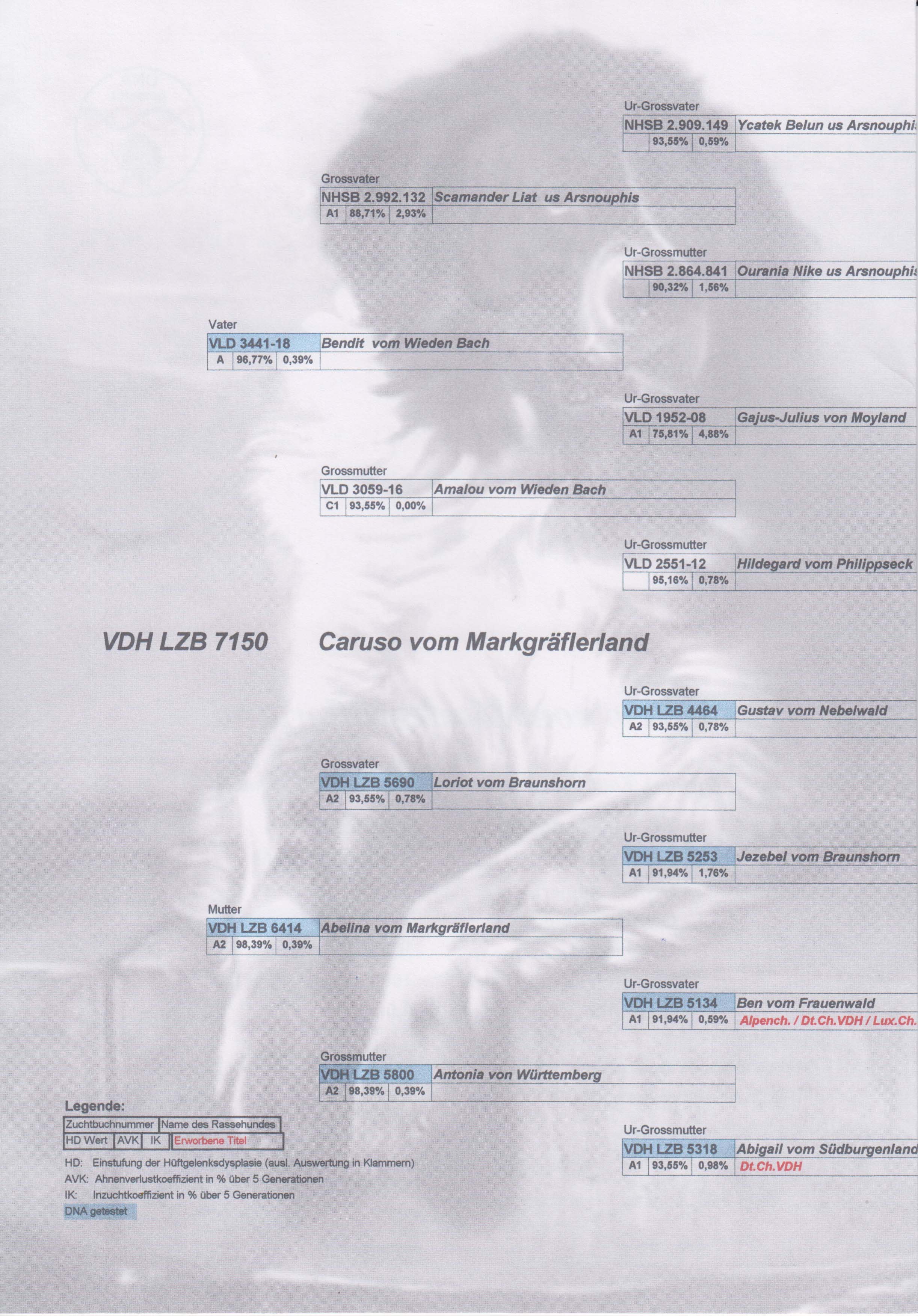 gallery/images-ahnentafel-2