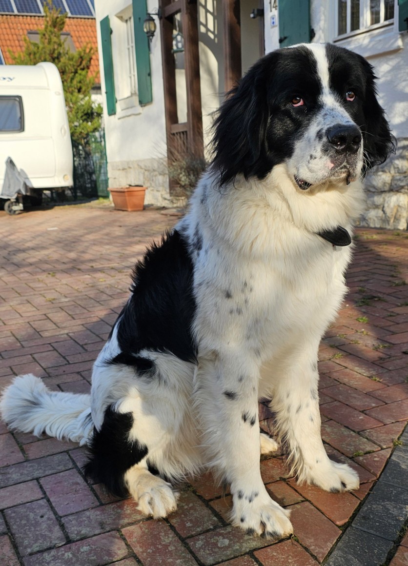 gallery/images-In-Wald--3--01.11.2014