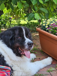 gallery/images-soo-gut2_2v18b81w