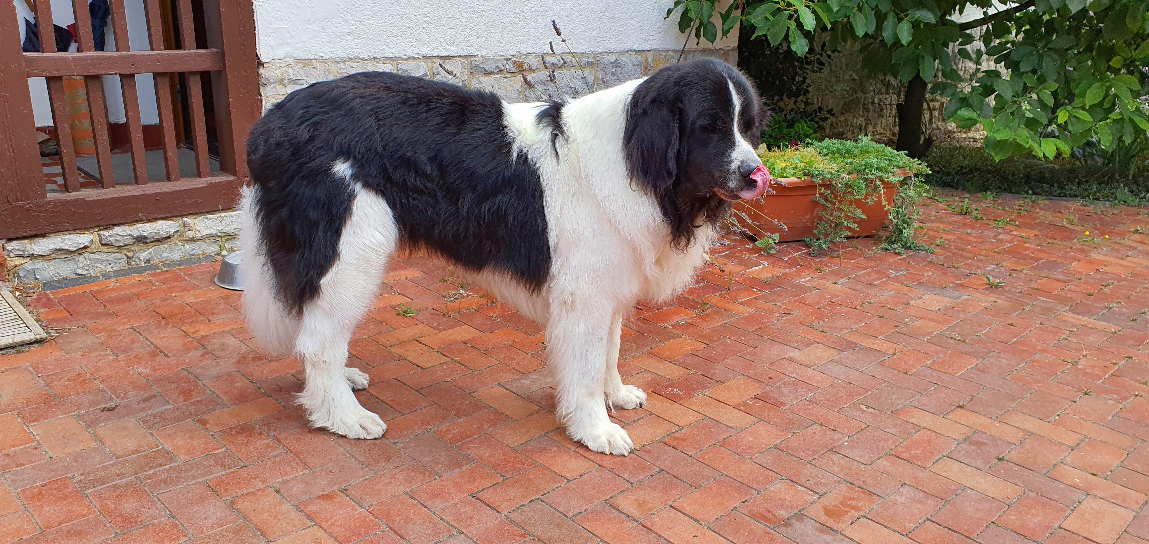 gallery/images-DSC_0784